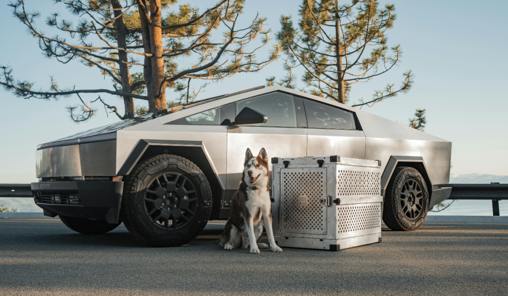 A metallic Tesla Cybertruck is parked on a road near trees. A dog sits beside the truck next to a large, silver, metal dog crate. The scene appears outdoors with clear skies.